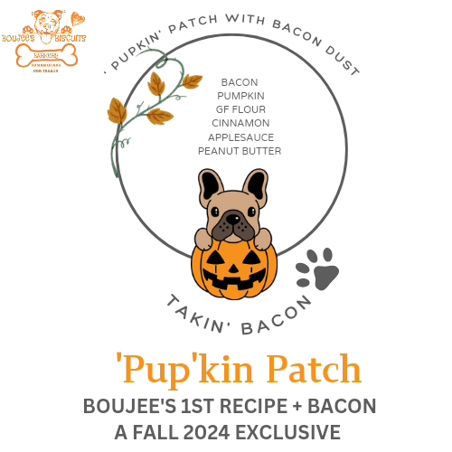 Takin' Bacon 'Pup'kin Patch