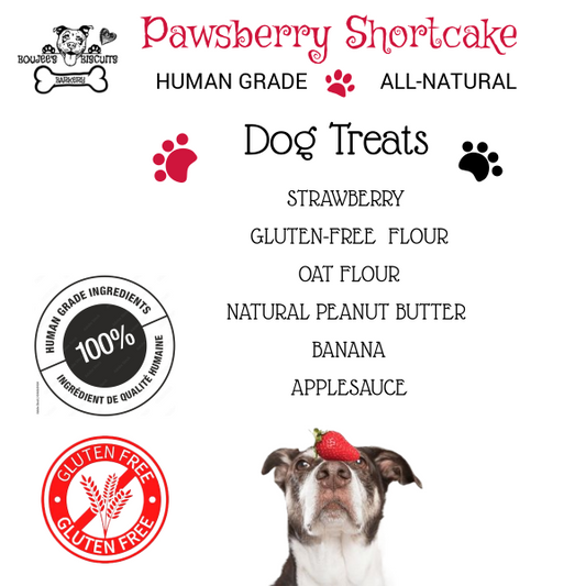 Pawsberry Shortcake Dog treats