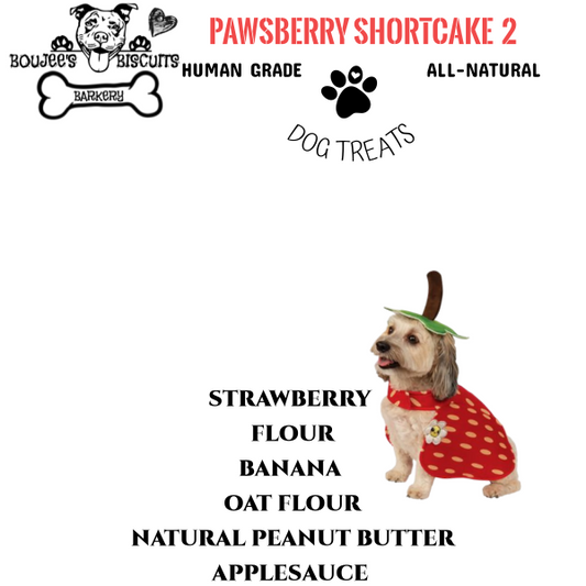 Pawsberry Shortcake 2